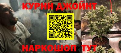 PSILOCYBIN Ирбит