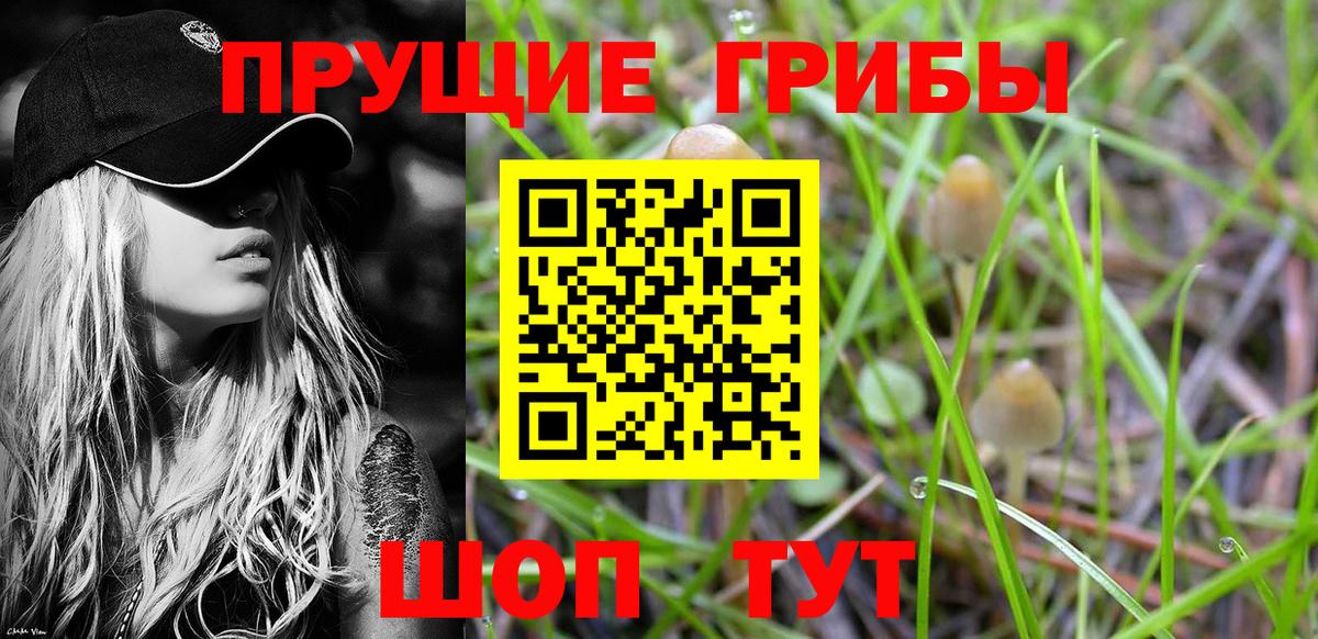 Псилоцибиновые грибы Cubensis Люберцы