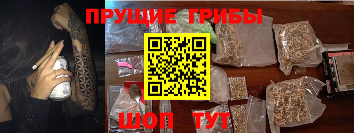 Псилоцибиновые грибы Psilocybe  Вход с VPN  магазин продажи   Галлюциногенные грибы GOLDEN TEACHER  Люберцы 